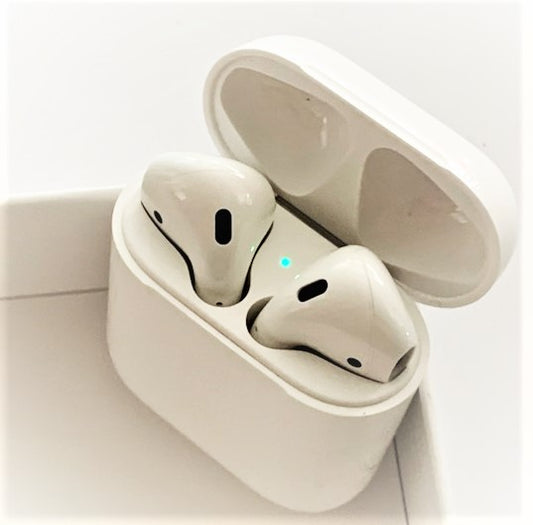 Memonizer® EARPHONE